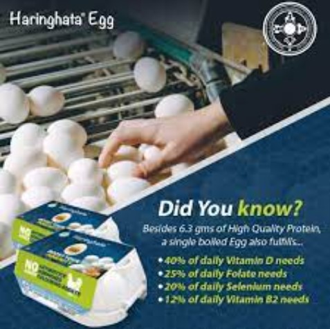 Haringhata Egg